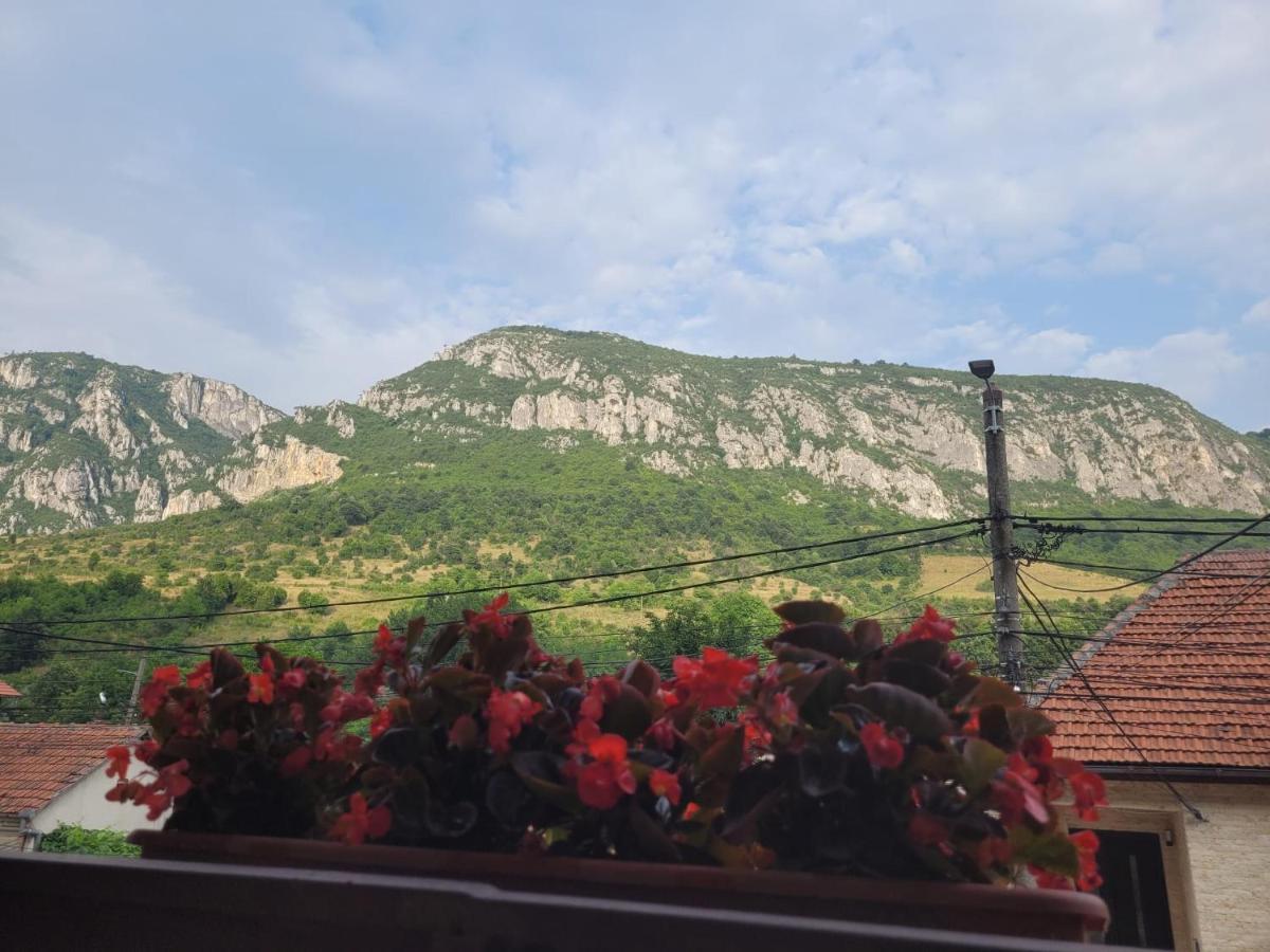 Casa Bașu Villa Băile Herculane Exterior foto