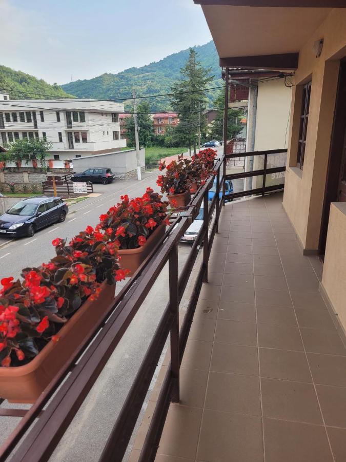 Casa Bașu Villa Băile Herculane Exterior foto