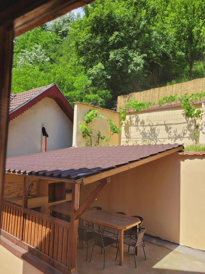 Casa Bașu Villa Băile Herculane Exterior foto